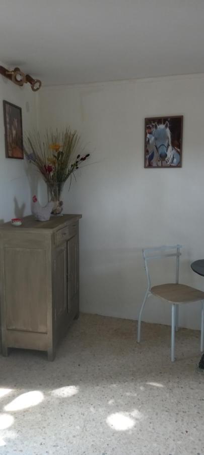 Petite Maison Dans La Campagne A 10 Mn A Pied Du Centre Ville 아흘르 외부 사진